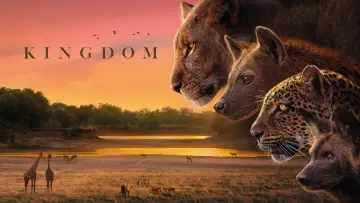 Backdrop for the TV series "Kingdom" #1473586