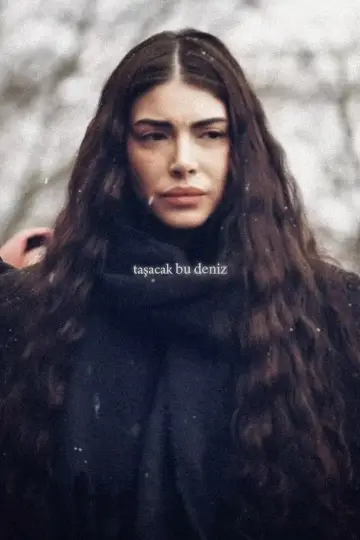 Poster for the TV series "This Sea Will Overflow" #1587194