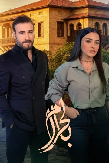 Poster for the TV series "Illegitimately" #1670454