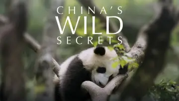 China's Wild Secrets Poster