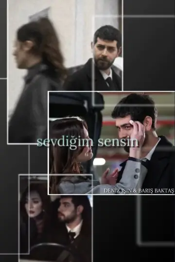 Poster for the TV series "The One I Love" #1356833