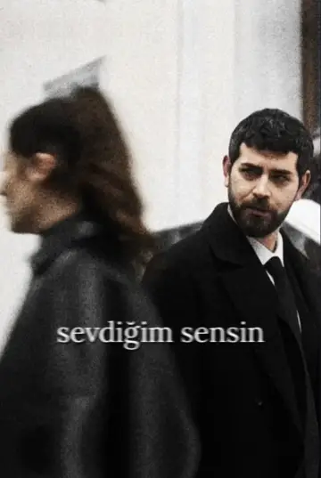 Poster for the TV series "The One I Love" #1356834