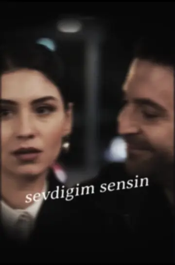 Poster for the TV series "The One I Love" #1356836