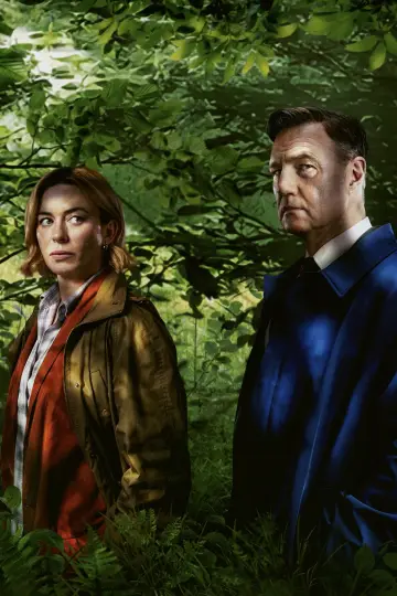 Poster for the TV series "Gone" #1591923