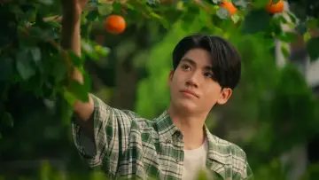 Backdrop for the TV series "When Oranges Fall" #1477785