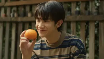 Backdrop for the TV series "When Oranges Fall" #1477795