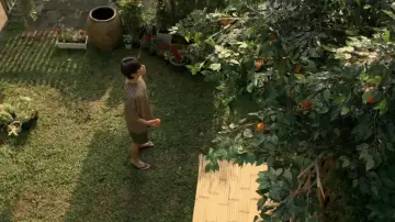Backdrop for the TV series "When Oranges Fall" #1477801