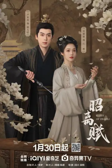 Poster for the TV series "Elegy of Zhao Li" #1609629