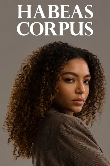 Poster for the TV series "Habeas Corpus" #1811677