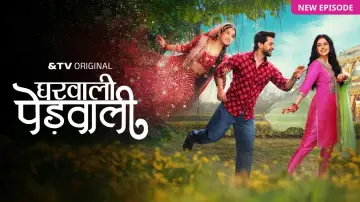 Backdrop for the TV series "Gharwali Pedwali" #1513633