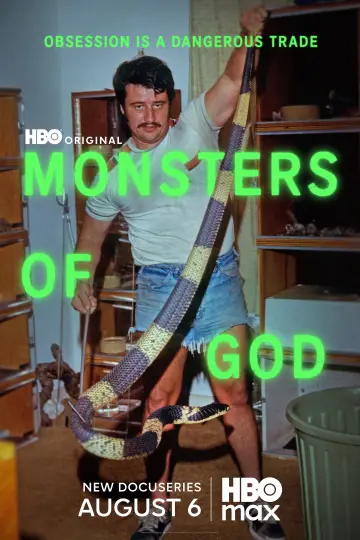 Poster for the TV series "Monsters of God" #1228313