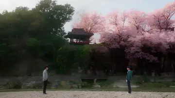 Backdrop for the TV series "Always Meet Again" #1483628