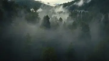 Backdrop к сериалу "The Dinosaurs" #1408394