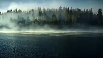 Backdrop к сериалу "The Dinosaurs" #1408396