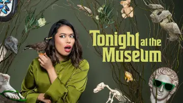 Backdrop for the TV series "Tonight at the Museum" #1555522