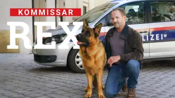Backdrop for the TV series "Rex - Vienna Calling" #1550306