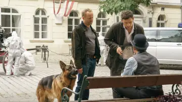 Backdrop for the TV series "Rex - Vienna Calling" #1550309