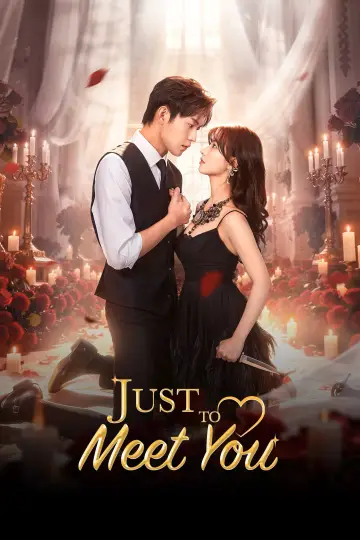 Just to Meet You Poster