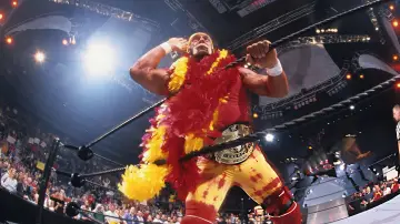 Backdrop for the TV series "Hulk Hogan: Real American" #1555530