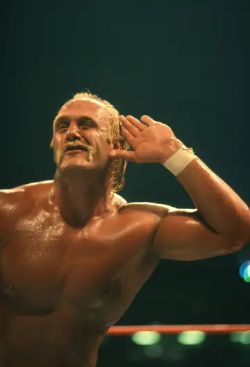 Poster for the TV series "Hulk Hogan: Real American" #1555537