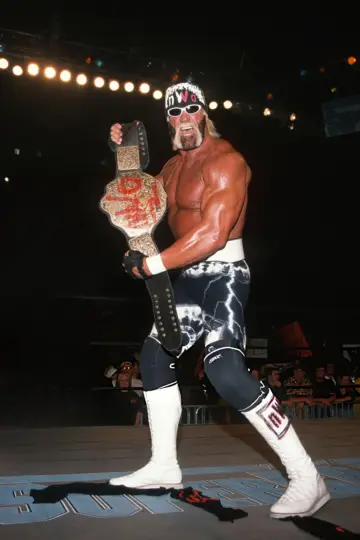 Poster for the TV series "Hulk Hogan: Real American" #1555539