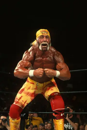 Poster for the TV series "Hulk Hogan: Real American" #1555540