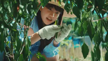 Backdrop к сериалу "Azure Spring" #1474268