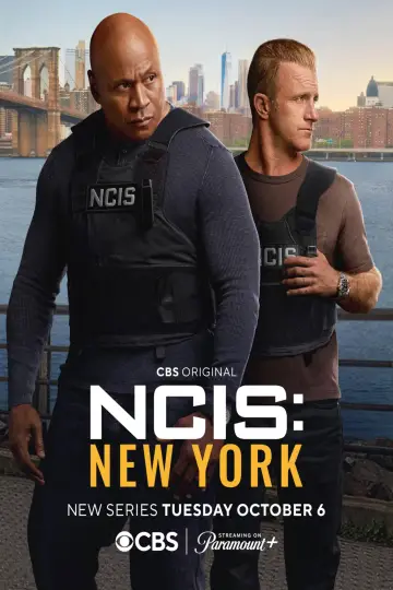 Poster for the TV series "NCIS: New York" #1666884
