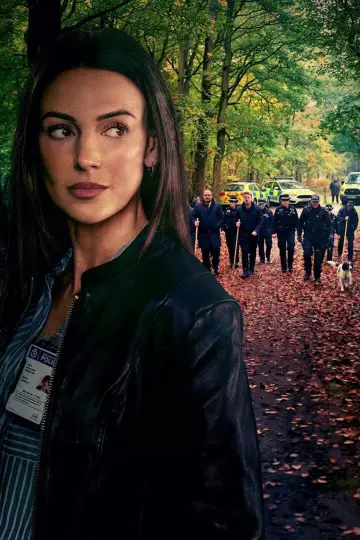 Poster for the TV series "The Blame" #1708891
