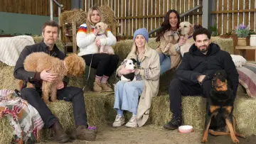 Backdrop for the TV series "Wagging Rights" #1667682