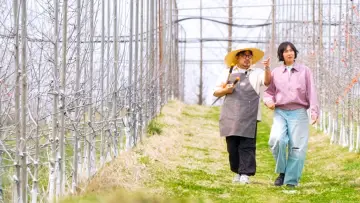 힙&힐링 여행 예쁜 추억 산더미 Poster