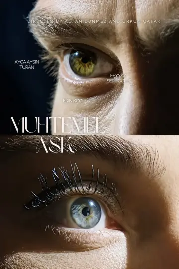 Poster for the TV series "Possible Love" #1353889