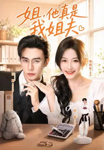 姐，他真是我姐夫 Poster