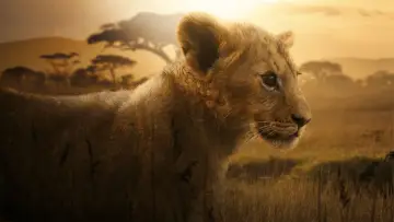 Backdrop for the TV series "Lion" #1228725