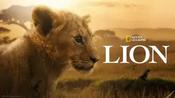 Backdrop for the TV series "Lion" #1228727