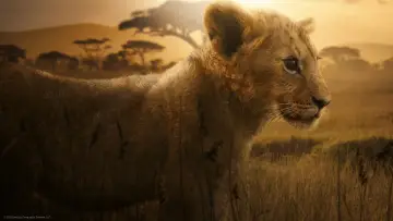 Backdrop for the TV series "Lion" #1228728