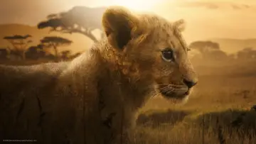 Backdrop for the TV series "Lion" #1228729