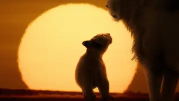 Backdrop for the TV series "Lion" #1228731
