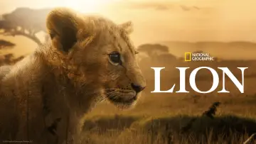 Backdrop for the TV series "Lion" #1228732