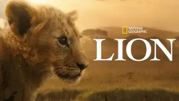 Backdrop for the TV series "Lion" #1228733