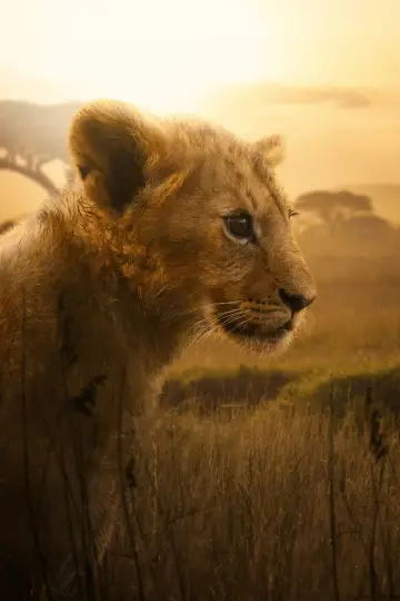 Poster for the TV series "Lion" #1228739