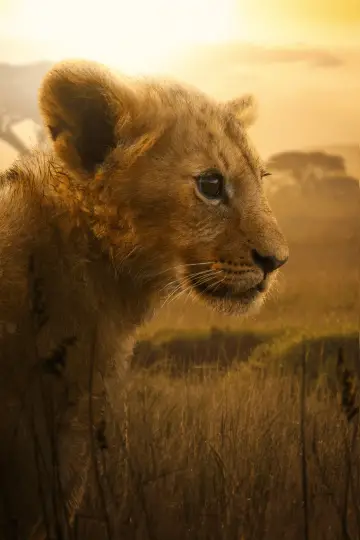 Poster for the TV series "Lion" #1228740