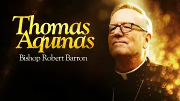 Backdrop for the TV series "Thomas Aquinas" #1788043