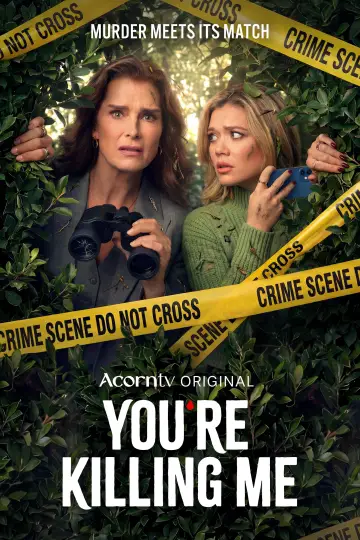 Poster for the TV series "You