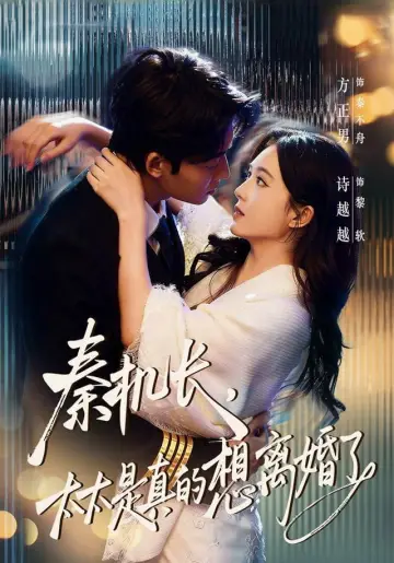秦机长，太太是真的想离婚了 Poster