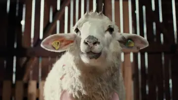 Backdrop for the TV series "Sheep" #1669523
