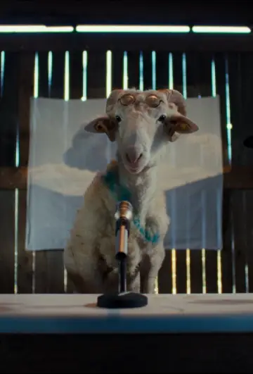 Sheep Poster