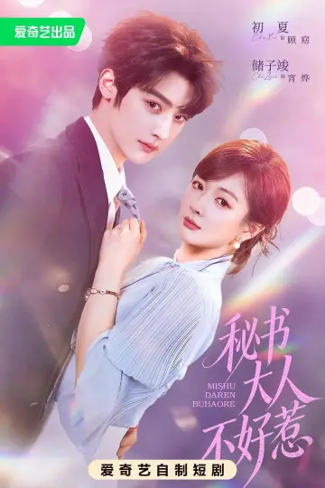 Poster for the TV series "秘书大人不好惹" #1512295
