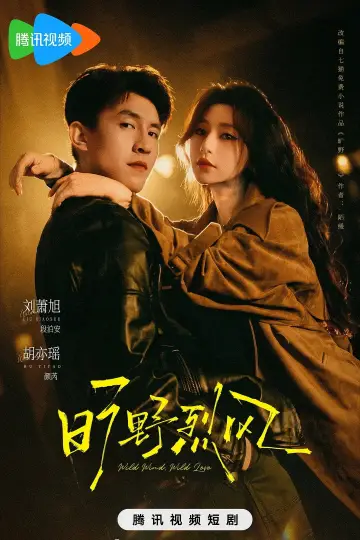 旷野烈风 Poster