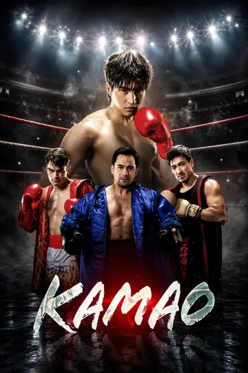 In His Corner Poster